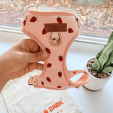 Rosie Strawberry Signature Bloomtie™ - Mega Bundle (D Ring)