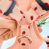 Rosie Strawberry Signature Bloomtie™ - Mega Bundle (D Ring)