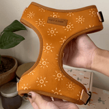Ambar Suns AllSet™ Harness – Adjustable Bliss