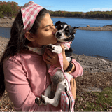 Pink Gingham AllSet™ Harness Matching Bundle (D Ring)