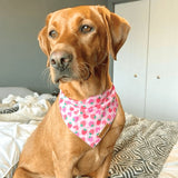 Strawberry Shortcake Flairtie™ Bandana – 100% Cotton
