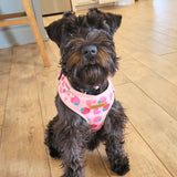 Strawberry Shortcake AllSet™ Harness – Adjustable Bliss