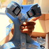 Marigold Bloom AllSet™ Harness – Adjustable Bliss (D Ring)