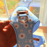 Marigold Bloom AllSet™ Harness – Adjustable Bliss (D Ring)