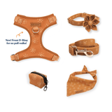 Ambar Suns Signature Bloomtie™ - Mega Bundle (D Ring)