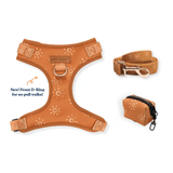 Ambar Suns AllSet™ Harness Matching Bundle (D Ring)