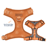 Ambar Suns AllSet™ Harness – Adjustable Bliss (D Ring)