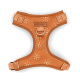 Ambar Suns AllSet™ Harness – Adjustable Bliss (D Ring)