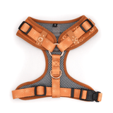 Ambar Suns AllSet™ Harness – Adjustable Bliss (D Ring)
