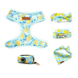 Sunny Lemons Dappertie™ - Mega Bundle Match