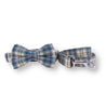 unique dog bowtie collars and leashes