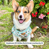 best dog harness for small dogs