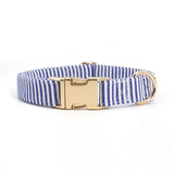 designer dog collars