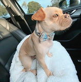 Blue Teddy Plaid Signature Band™ - Crafted Collar