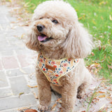 Yellow Floral AllSet™ Harness – Adjustable Bliss (D Ring)