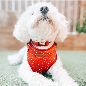 Red Polka Dot Lockable Harness™