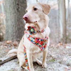 Morning Floral Bow Mega Bundle