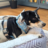 Blue Teddy Plaid AllSet™ Harness – Adjustable Bliss (D Ring)