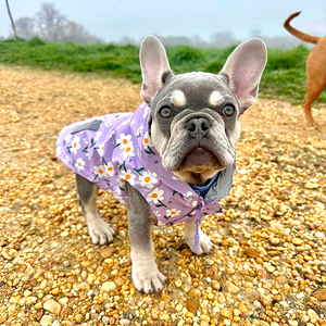 Purple Daisy Reversible Cozy Fleece Vest™