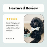 dog collar with bow