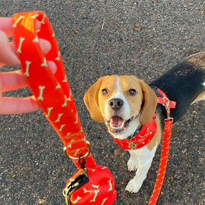 Fetch Bundle