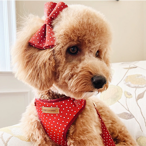 Red Polka Dot Bundle