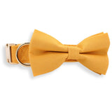 dog collar bow