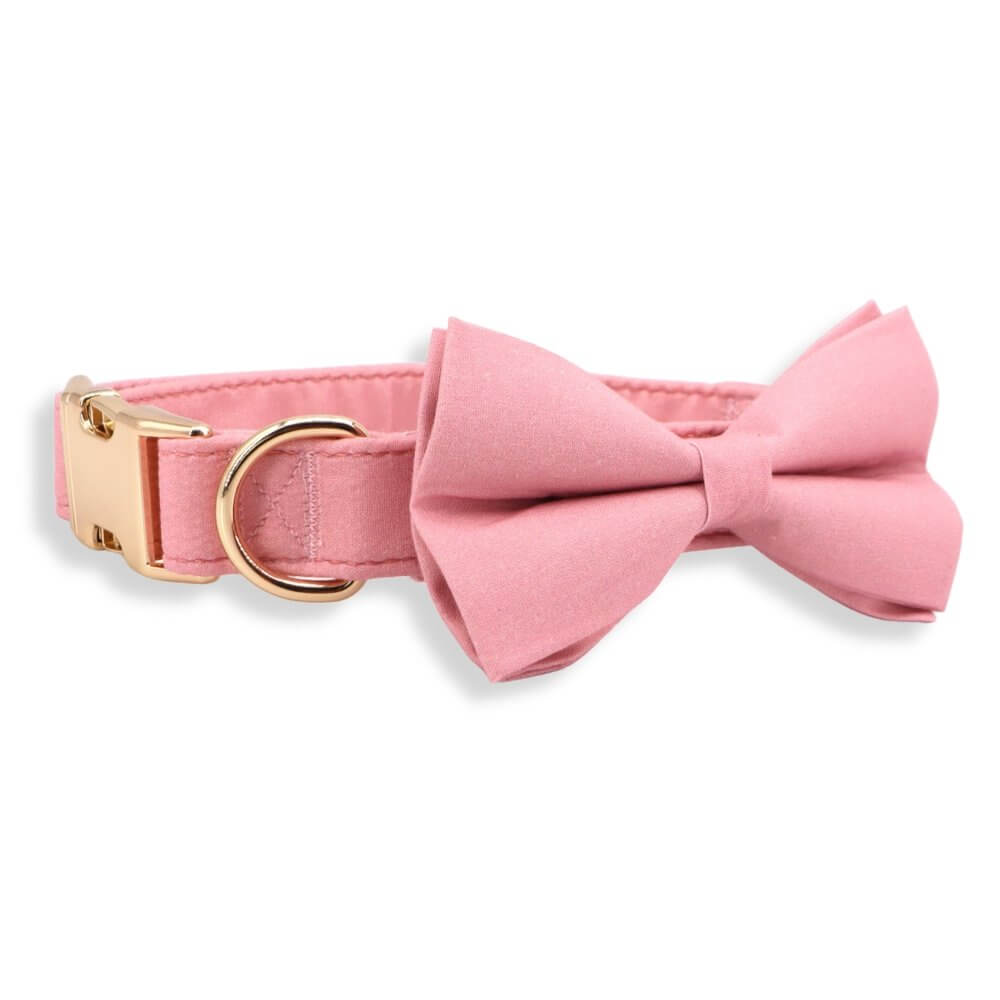bowtie collar for dog