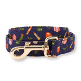 best dog leash
