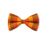 dog bow tie large