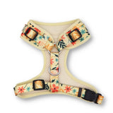 best dog harness for large dogs