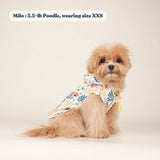 dog rain gear