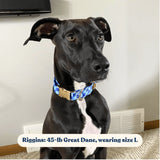 Checker Blue Signature Band™ - Crafted Collar
