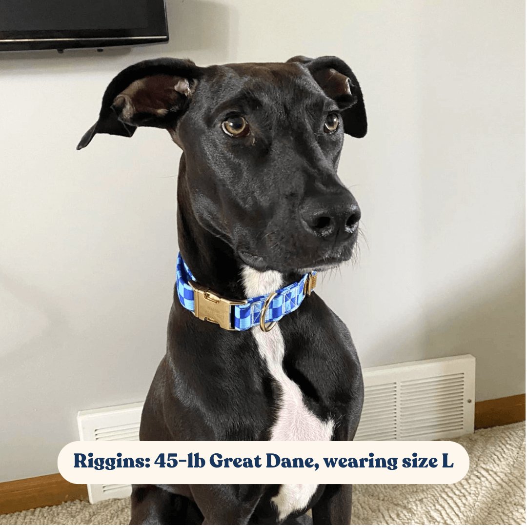 Checker Blue Unbreakable Collar™