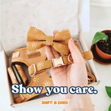 Ambar Suns Signature Band™ + Slide-On Dappertie™