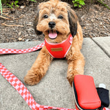 Checker Pink AllSet™ Harness Matching Bundle