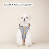 dog raincoat