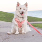 Peach Blush AllSet™ Harness Matching Bundle