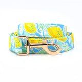 Sunny Lemons Dappertie™ - Mega Bundle Match