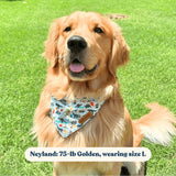 Mint Snappy Dino Flairtie™ Bandana – 100% Cotton