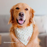 Small Dog Bandana