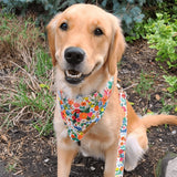 Morning Floral Flairtie™ Bandana – 100% Cotton