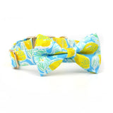 Sunny Lemons Dappertie™ - Mega Bundle Match
