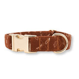 dog collars canada