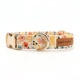 best dog collar