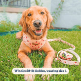 Rosie Strawberry AllSet™ Harness – Adjustable Bliss