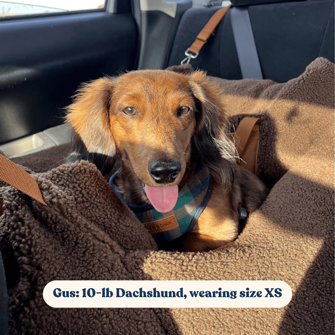 Safe Adorable Dog Lockable Harness™, Unbreakable Leash™, And