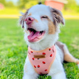 Rosie Strawberry AllSet™ Harness Matching Bundle