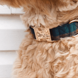 Gentleman Joyline™ Leash – 100 % Cotton Shell