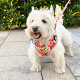 Morning Floral AllSet™ Harness – Adjustable Bliss
